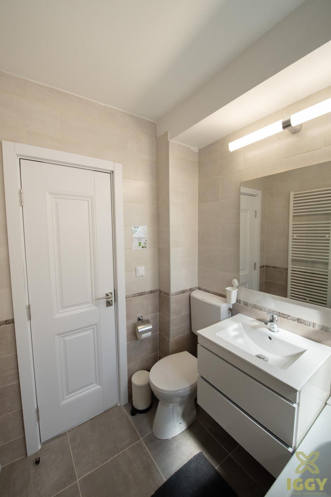 Iggy Premium Apartment Hunedoara Extérieur photo